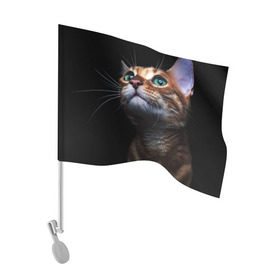 Флаг для автомобиля с принтом Милый котик , 100% полиэстер | Размер: 30*21 см | кошка | темный | фото