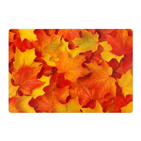 Магнитный плакат 3Х2 с принтом Кленовые листья , Полимерный материал с магнитным слоем | 6 деталей размером 9*9 см | дары осени | жёлтый | золотой | клён | краски | красный | красота | листва | листья | наряд | оранжевый | осень | покров | природа
