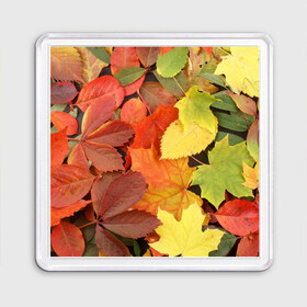 Магнит 55*55 с принтом Осенние листья , Пластик | Размер: 65*65 мм; Размер печати: 55*55 мм | Тематика изображения на принте: жёлтый | красный | листва | оранжевый | осень