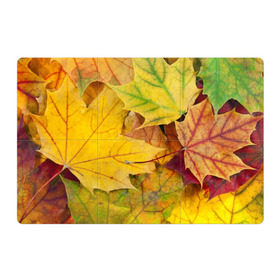 Магнитный плакат 3Х2 с принтом Осенние листья , Полимерный материал с магнитным слоем | 6 деталей размером 9*9 см | Тематика изображения на принте: жёлтый | зелёный | клён | листва