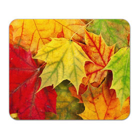Коврик прямоугольный с принтом Кленовые листья , натуральный каучук | размер 230 х 185 мм; запечатка лицевой стороны | жёлтый | зелёный | красный | листва | оранжевый | осень