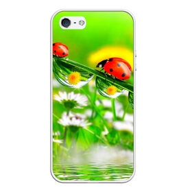 Чехол для iPhone 5/5S матовый с принтом Макро , Силикон | Область печати: задняя сторона чехла, без боковых панелей | божья коровка | насекомые | одуванчик | природа | цветы