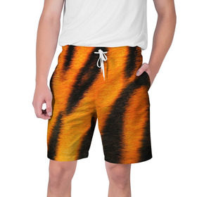 Мужские шорты 3D с принтом Шкура тигра ,  полиэстер 100% | прямой крой, два кармана без застежек по бокам. Мягкая трикотажная резинка на поясе, внутри которой широкие завязки. Длина чуть выше колен | кошка | полосатая | текстуры | тигр