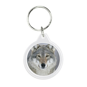 Брелок круглый с принтом Добрый волк , пластик и полированная сталь | круглая форма, металлическое крепление в виде кольца | взгляд | волк | волки | оскал