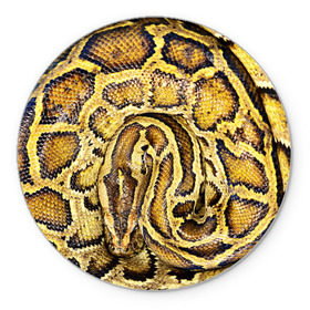 Коврик круглый с принтом Змея , резина и полиэстер | круглая форма, изображение наносится на всю лицевую часть | snake | анаконда | гадюка | змеиная | змея | кобра | кожа | кожура | удав | уж | червь | червяк | яд