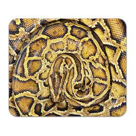Коврик прямоугольный с принтом Змея , натуральный каучук | размер 230 х 185 мм; запечатка лицевой стороны | snake | анаконда | гадюка | змеиная | змея | кобра | кожа | кожура | удав | уж | червь | червяк | яд