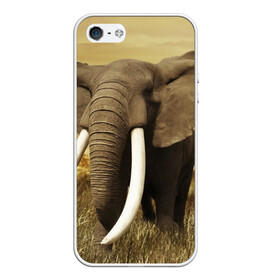 Чехол для iPhone 5/5S матовый с принтом Могучий слон , Силикон | Область печати: задняя сторона чехла, без боковых панелей | elephant | африка | бивни | джунгли | мамонт | савана | сафари | слон | хобот