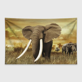 Флаг-баннер с принтом Могучий слон , 100% полиэстер | размер 67 х 109 см, плотность ткани — 95 г/м2; по краям флага есть четыре люверса для крепления | Тематика изображения на принте: elephant | африка | бивни | джунгли | мамонт | савана | сафари | слон | хобот