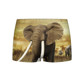 Мужские трусы 3D с принтом Могучий слон , 50% хлопок, 50% полиэстер | классическая посадка, на поясе мягкая тканевая резинка | Тематика изображения на принте: elephant | африка | бивни | джунгли | мамонт | савана | сафари | слон | хобот