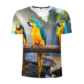 Мужская футболка 3D спортивная с принтом Экзотические попугаи , 100% полиэстер с улучшенными характеристиками | приталенный силуэт, круглая горловина, широкие плечи, сужается к линии бедра | джунгли | клюв | острова | перья | попугай | птица | тропики | экзотика