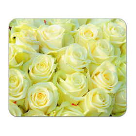 Коврик прямоугольный с принтом Белые розы , натуральный каучук | размер 230 х 185 мм; запечатка лицевой стороны | лепесток | природа | роза | цветок | яркая