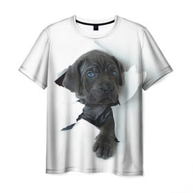 Мужская футболка 3D с принтом щенок Кане Корсо , 100% полиэфир | прямой крой, круглый вырез горловины, длина до линии бедер | animal | black | break | breed | dog | kid | paper | puppy | tear | torn | дог | животное | малыш | порода | прорыв | разрыв | рваная | собака | черный | щенок
