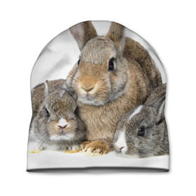 Шапка 3D с принтом Кролики , 100% полиэстер | универсальный размер, печать по всей поверхности изделия | animals | bunnies | cute | eared | family | fluffy | kids | mom | rabbits | животные | зайцы | кролики | малыши | мама | милые | пушистые | семья | ушастые