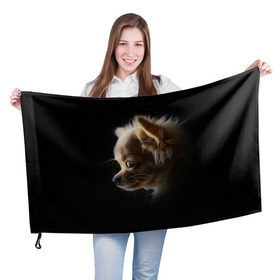 Флаг 3D с принтом Чихуахуа , 100% полиэстер | плотность ткани — 95 г/м2, размер — 67 х 109 см. Принт наносится с одной стороны | голова животного | прикольные картинки | собака | чихуахуа | щенок