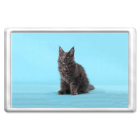 Магнит 45*70 с принтом Кот мейн кун , Пластик | Размер: 78*52 мм; Размер печати: 70*45 | Тематика изображения на принте: котенок | мейнкун