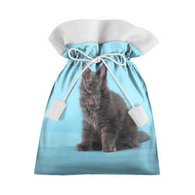 Подарочный 3D мешок с принтом Кот мейн кун , 100% полиэстер | Размер: 29*39 см | Тематика изображения на принте: котенок | мейнкун