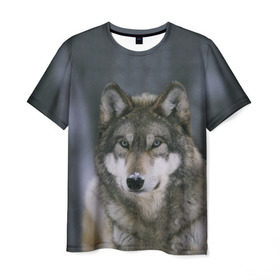 Мужская футболка 3D с принтом Волк в лесу , 100% полиэфир | прямой крой, круглый вырез горловины, длина до линии бедер | Тематика изображения на принте: 