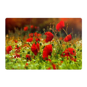 Магнитный плакат 3Х2 с принтом Маки , Полимерный материал с магнитным слоем | 6 деталей размером 9*9 см | Тематика изображения на принте: field | flowers | meadow | nature | poppies | poppy | red | summer | wild | красные | лето | луг | мак | маки | поле | полевые | природа | цветы