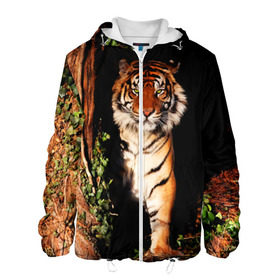 Мужская куртка 3D с принтом Тигр , ткань верха — 100% полиэстер, подклад — флис | прямой крой, подол и капюшон оформлены резинкой с фиксаторами, два кармана без застежек по бокам, один большой потайной карман на груди. Карман на груди застегивается на липучку | Тематика изображения на принте: дикая кошка | лес | природа | тигр | хищник