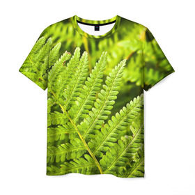Мужская футболка 3D с принтом Папоротник , 100% полиэфир | прямой крой, круглый вырез горловины, длина до линии бедер | Тематика изображения на принте: ботаника | зелень | листья | папоротник | природа | растения | цветок