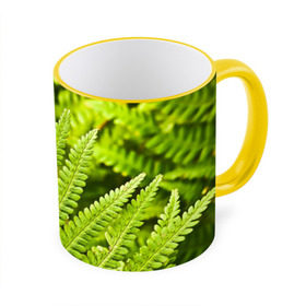 Кружка 3D с принтом Папоротник , керамика | ёмкость 330 мл | ботаника | зелень | листья | папоротник | природа | растения | цветок