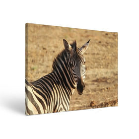 Холст прямоугольный с принтом Зебра , 100% ПВХ |  | Тематика изображения на принте: африка | голова животного | зебра | лошадь | природа