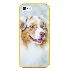Чехол для iPhone 5/5S матовый с принтом Австралийская овчарка , Силикон | Область печати: задняя сторона чехла, без боковых панелей | австралийская овчарка | животные | природа | собака | щенок