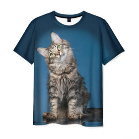 Мужская футболка 3D с принтом Мейн-кун 2 , 100% полиэфир | прямой крой, круглый вырез горловины, длина до линии бедер | кот | котенок | котик | котэ | кошка | мейн кун | мейнкун | мэйн кун | мэйнкун
