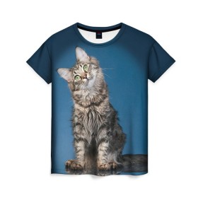 Женская футболка 3D с принтом Мейн-кун 2 , 100% полиэфир ( синтетическое хлопкоподобное полотно) | прямой крой, круглый вырез горловины, длина до линии бедер | кот | котенок | котик | котэ | кошка | мейн кун | мейнкун | мэйн кун | мэйнкун