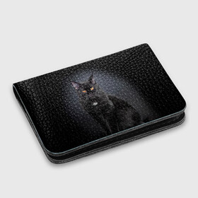 Картхолдер с принтом с принтом Мейн-кун 3 , натуральная матовая кожа | размер 7,3 х 10 см; кардхолдер имеет 4 кармана для карт; | кот | котенок | котик | котэ | кошка | мейн кун | мейнкун | мэйн кун | мэйнкун