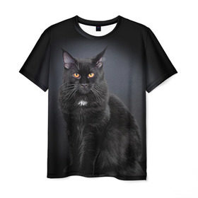 Мужская футболка 3D с принтом Мейн-кун 3 , 100% полиэфир | прямой крой, круглый вырез горловины, длина до линии бедер | Тематика изображения на принте: кот | котенок | котик | котэ | кошка | мейн кун | мейнкун | мэйн кун | мэйнкун