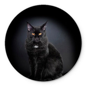 Коврик круглый с принтом Мейн-кун 3 , резина и полиэстер | круглая форма, изображение наносится на всю лицевую часть | кот | котенок | котик | котэ | кошка | мейн кун | мейнкун | мэйн кун | мэйнкун
