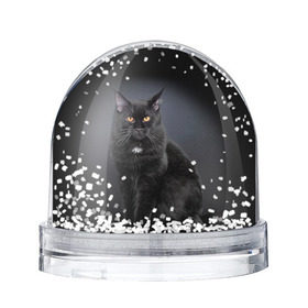 Снежный шар с принтом Мейн-кун 3 , Пластик | Изображение внутри шара печатается на глянцевой фотобумаге с двух сторон | кот | котенок | котик | котэ | кошка | мейн кун | мейнкун | мэйн кун | мэйнкун