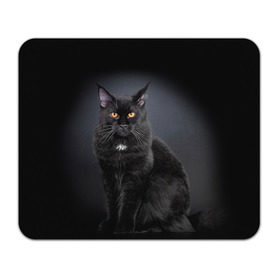 Коврик прямоугольный с принтом Мейн-кун 3 , натуральный каучук | размер 230 х 185 мм; запечатка лицевой стороны | кот | котенок | котик | котэ | кошка | мейн кун | мейнкун | мэйн кун | мэйнкун