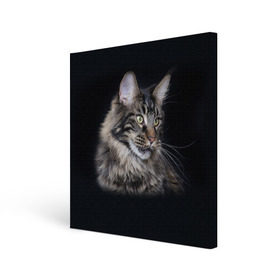 Холст квадратный с принтом Мейн-кун 5 , 100% ПВХ |  | Тематика изображения на принте: кот | котенок | котик | котэ | кошка | мейн кун | мейнкун | мэйн кун | мэйнкун