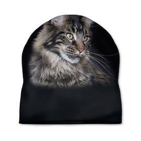 Шапка 3D с принтом Мейн-кун 5 , 100% полиэстер | универсальный размер, печать по всей поверхности изделия | Тематика изображения на принте: кот | котенок | котик | котэ | кошка | мейн кун | мейнкун | мэйн кун | мэйнкун