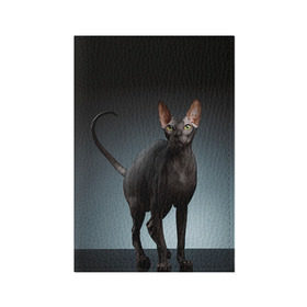 Обложка для паспорта матовая кожа с принтом Сфинкс 7 , натуральная матовая кожа | размер 19,3 х 13,7 см; прозрачные пластиковые крепления | Тематика изображения на принте: кот | котенок | котик | котэ | кошка | сфинкс