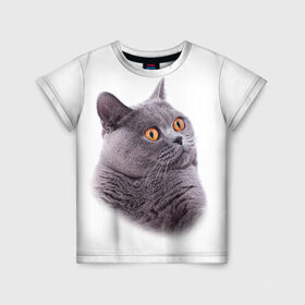 Детская футболка 3D с принтом Британец 5 , 100% гипоаллергенный полиэфир | прямой крой, круглый вырез горловины, длина до линии бедер, чуть спущенное плечо, ткань немного тянется | британец | британская | британцы | кот | котенок | котик | котэ | кошка