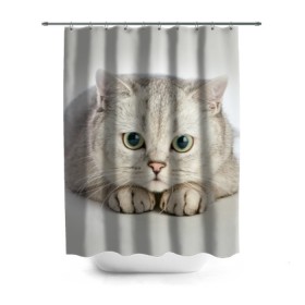 Штора 3D для ванной с принтом Британец 6 , 100% полиэстер | плотность материала — 100 г/м2. Стандартный размер — 146 см х 180 см. По верхнему краю — пластиковые люверсы для креплений. В комплекте 10 пластиковых колец | британец | британская | британцы | кот | котенок | котик | котэ | кошка