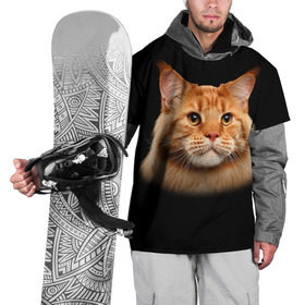 Накидка на куртку 3D с принтом Мейн-кун 6 , 100% полиэстер |  | Тематика изображения на принте: кот | котенок | котик | котэ | кошка | мейн кун | мейнкун | мэйн кун | мэйнкун