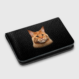 Картхолдер с принтом с принтом Мейн-кун 6 , натуральная матовая кожа | размер 7,3 х 10 см; кардхолдер имеет 4 кармана для карт; | кот | котенок | котик | котэ | кошка | мейн кун | мейнкун | мэйн кун | мэйнкун