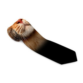 Галстук 3D с принтом Мейн-кун 6 , 100% полиэстер | Длина 148 см; Плотность 150-180 г/м2 | Тематика изображения на принте: кот | котенок | котик | котэ | кошка | мейн кун | мейнкун | мэйн кун | мэйнкун