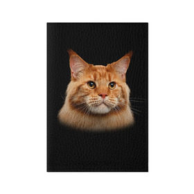 Обложка для паспорта матовая кожа с принтом Мейн-кун 6 , натуральная матовая кожа | размер 19,3 х 13,7 см; прозрачные пластиковые крепления | Тематика изображения на принте: кот | котенок | котик | котэ | кошка | мейн кун | мейнкун | мэйн кун | мэйнкун