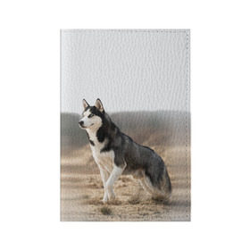 Обложка для паспорта матовая кожа с принтом Хаски , натуральная матовая кожа | размер 19,3 х 13,7 см; прозрачные пластиковые крепления | dog | husky | siberia | север | сибирь | собака | хаски