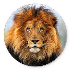 Коврик круглый с принтом Красавец лев , резина и полиэстер | круглая форма, изображение наносится на всю лицевую часть | Тематика изображения на принте: lion | грива | дикая кошка | добыча | животное | зверь | клыки | когти | король джунглей | лев | мясо | хищник | царь зверей
