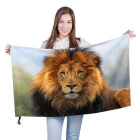 Флаг 3D с принтом Красавец лев , 100% полиэстер | плотность ткани — 95 г/м2, размер — 67 х 109 см. Принт наносится с одной стороны | lion | грива | дикая кошка | добыча | животное | зверь | клыки | когти | король джунглей | лев | мясо | хищник | царь зверей
