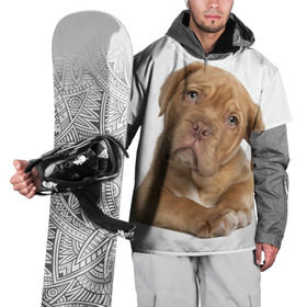 Накидка на куртку 3D с принтом Грустный щенок , 100% полиэстер |  | животное | лучший друг | милаха | няша | собака | собачка | щенок | щеночек