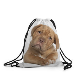 Рюкзак-мешок 3D с принтом Грустный щенок , 100% полиэстер | плотность ткани — 200 г/м2, размер — 35 х 45 см; лямки — толстые шнурки, застежка на шнуровке, без карманов и подкладки | животное | лучший друг | милаха | няша | собака | собачка | щенок | щеночек