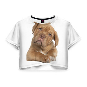 Женская футболка 3D укороченная с принтом Грустный щенок , 100% полиэстер | круглая горловина, длина футболки до линии талии, рукава с отворотами | животное | лучший друг | милаха | няша | собака | собачка | щенок | щеночек