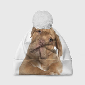 Шапка 3D c помпоном с принтом Грустный щенок , 100% полиэстер | универсальный размер, печать по всей поверхности изделия | животное | лучший друг | милаха | няша | собака | собачка | щенок | щеночек
